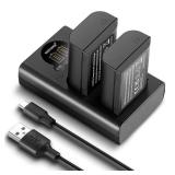 NEEWER Replacement Battery and Charger Set for DMW-BLK22, Compatible with Panasonic Lumix DC-S5 GH5 II S5 II GH6 S5 IIX S9, 2 Pack 2400 mAh Batteries and Type C Dual Channel USB Charger