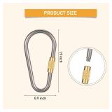 Skylety  Mini Titanium Locking Clips D-Ring Locking Snap Keychain Keyring Screw Lock Buckle for Outdoor Indoor Dog Tags Use, Lightweight and Sturdy