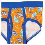 Hanes Boys Potty Trainer Boxer Briefs, 10-pack Baby And Toddler Training Underwear, Assorted, 2-3 US