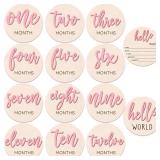 7 Pcs Baby 3D Monthly Milestone Wooden Signs Girl Baby 1-12 Months Announcement Card Sign Wood Markers Disc Block Baby Keepsake Double Sided Engraved Keepsake Photo Prop (Pink)