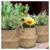 Qunclay 4 Pcs Woven Seagrass Baskets Belly Basket Folding Boho Natural Plant Pot with Handles Round Decorative Wicker Large Indoor Planter for Home Outdoor Tree Planters Decor (5.5 x 6.3 Inch)