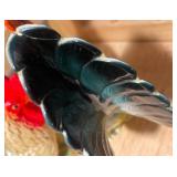 Vintage Rooster Décor Collection + Hand-Carved Wooden Bird Napkin Ring Holder