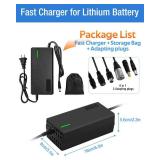 54.6V 3A/5A Charger,3A Charging Speed is 100% Fast Than 1.5A and 50% Faster Than 2A,6 Plug for Various Lithium Batteries, Such as Lawn Mower and Wheelchair Lithium Batteries, etc. (3A-6 Plugs)