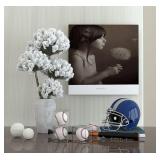 Danodoi Baseball Display Case UV Protected Acrylic Clear Baseball Holder Square Cube Ball Protector Memorabilia Autograph Display Box for Official Size Baseball