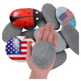 Lulonpon 12 Pieces Large Painting Rocks, 3-4 Inches Rocks for Painting,Smooth Rocks Bulk,Flat Rocks,Natural Smooth Surface Arts and Crafting Painting Supplies