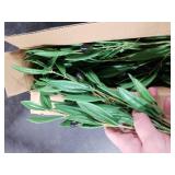 Melorca&Guilla Artificial Plants,6PCS 39 Green Eucalyptus Faux Branches for Vase,Faux Greenery Stems Artificial Plants for Shop Garden Office Home Decor (6, Green Eucalyptus)