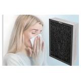 Classic 500/600 Series HEPA SmokeStop Filter