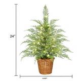 24" Pre-Lit Green Cypress Tree, 30 LED by My Texas House