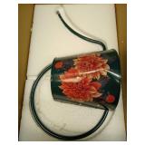 Berry&Bird House Plants Watering Can - Indoor & Outdoor 1/2 Gallon Stainless Steel Water Can with Long Spout Garden Decoration for Flower Bonsai Succulent Gardening Large Watwer Bottle(2L/68oz,Dahlia)