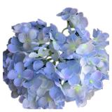 62 pcs Silk Hydrangea Flower Heads Dia. 7.87\" Artificial Flowers Floral Hydrangeas Large Flower Head for DIY Bridal Bouquet Accessories (Blue) - Retail: $110