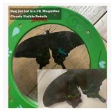 Cheerwe Outdoor Explore Kit w/ Bug Jar, Journal & Board, STEAM Toy