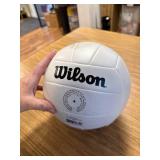 Wilson Bounce Indoor Volleyball