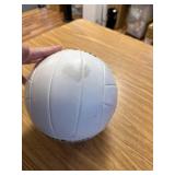 Wilson Bounce Indoor Volleyball