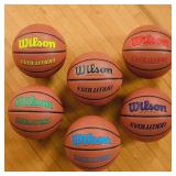 $95 WILSON Evolution Indoor Basketballs - Size 7