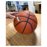 $95 WILSON Evolution Indoor Basketballs - Size 7