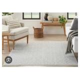 $300 Nourison Natural Texture NTX01 Ivory Rug, 9