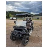 New Six Person Luxury Electric Golf Cart SDLGC100 (Assembly Required)
