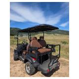 Unused 2025 4 Person Luxury Golf Cart SDLGC80 (Unassembled)