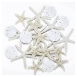 Jetec 24 Pcs Starfish Assorted Decor 3.14 Inch Starfish for Crafts Star Fish Shells Decorations Sand Dollar Ornament White Resin Star Fish Decorations for Wedding Beach Party Decor DIY Craft Supplies