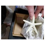 Jetec 24 Pcs Starfish Assorted Decor 3.14 Inch Starfish for Crafts Star Fish Shells Decorations Sand Dollar Ornament White Resin Star Fish Decorations for Wedding Beach Party Decor DIY Craft Supplies