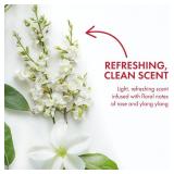 Ban Invisible Roll-on Antiperspirant Deodorant for Women and Men, 24-hour Underarm Odor & Sweat Protection, Regular Scent, 3.5 Oz, 1 Pack