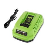 Bakipante 40V Charger Replacement for Greenworks 40 Volt Battery Charger Lithium Ion 29482 29252 20202 22262 29472 29462 Compatible with 40V G-MAX Power Tools (Not for 29662)