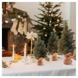 5pk Tabletop Mini Christmas Trees