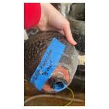 Alpine Corporation TZL412 14\