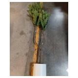 165CM FIG TREE IN PLASTIC POT - Retail: $60