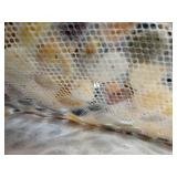 River Rocks Stepping Stones Pavers Outdoor for Garden Walkway, Pebbles Polished Gravel for Yard Lawn Patio Pathway Landscaping, 6PACK (Roundness) - Retail: $60