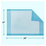 Medline Light Absorbency Disposable Bed Pads, 17" x 24", 100 Count