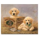 Tin Signs Kaatz -Wingmasters 1201