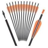 Carbon Crossbow Bolts 12-Pack