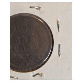 1891 Indian head penny