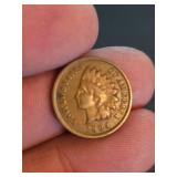1894 Indian head penny