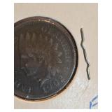 1902 Indian head penny