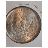 1896 Morgan silver dollar