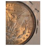 1896 Morgan silver dollar