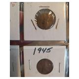 Lot of 20 different Indian head pennies