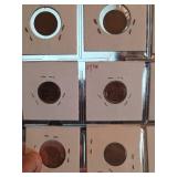 Lot of 20 different Indian head pennies