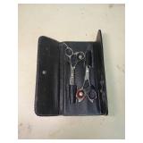 Professional Hairdressing Scissors Set with Leather Case