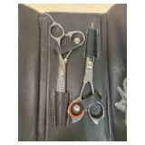 Professional Hairdressing Scissors Set with Leather Case