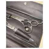 Professional Hairdressing Scissors Set with Leather Case