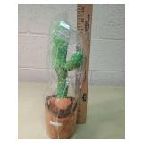 Dancing Cactus Plush Toy