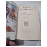 Winning the Wilderness by Margaret Hill McCarter (1914)