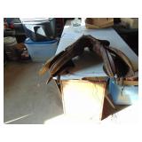 Cortina - English Saddle - See Pics for condition