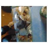 Pair of Containers with Sea Shells