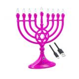 APPEARS NEW - Hanukkah Bundle: Natural Multi-Color Candles, Mini Traditional Menorah & 3 Hanukkah Cookie Cutters. See Photos.