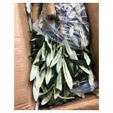 Retails for $160! Majestic Faux Olive Tree 7 feet Artificial Olive Tree Indoor & Outdoor with Lifelike Leaves & Textured Branches for Living Room, Office, Entryway,Patio