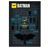 Batman vs Superman- Graphic Poster - 22" x 34" - Brand New!